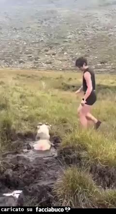 Gif Animata