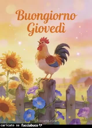 Gif Animata