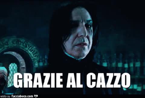 gif animata