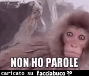 gif animata
