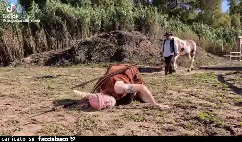Gif Animata