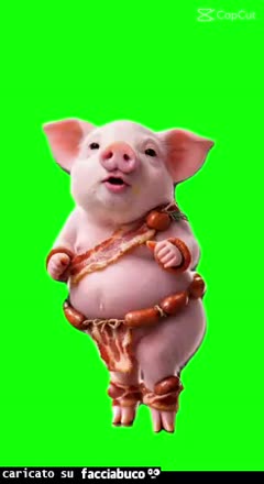 Gif Animata