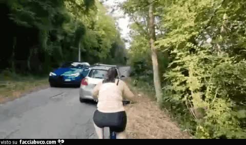gif animata