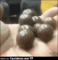 gif animata