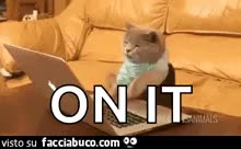 gif animata