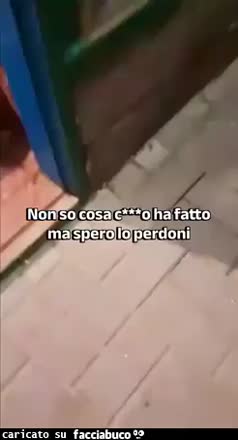 Gif Animata