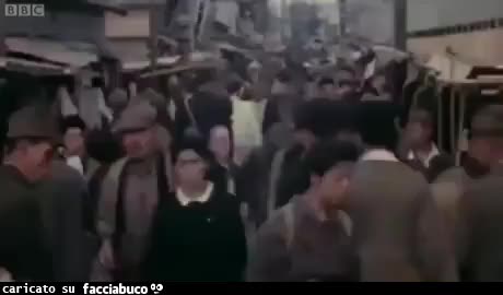 Gif Animata