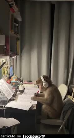 Gif Animata