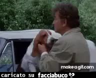 gif animata