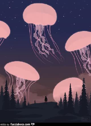gif animata