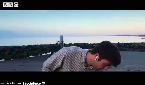 A heròs death - Fontaines D. C