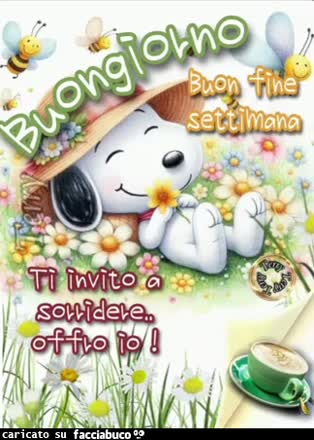 Gif Animata