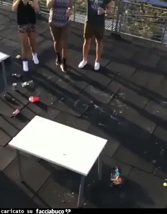 Gif Animata