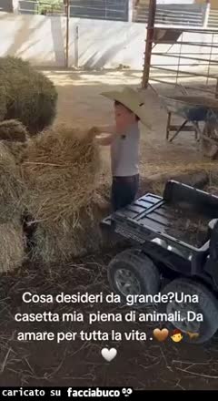 Gif Animata