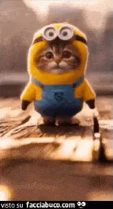 gif animata