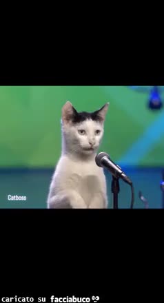 Gif Animata