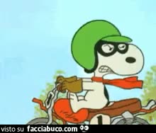 gif animata