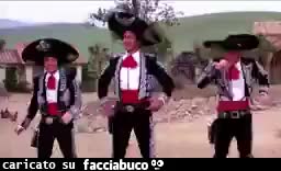 gif animata