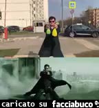 gif animata