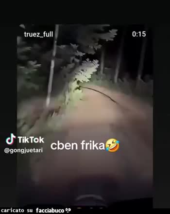 Gif Animata