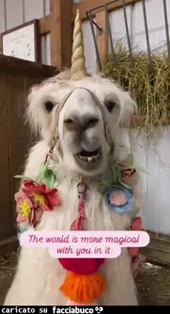 Gif Animata