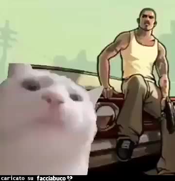 gif animata