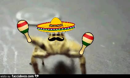 gif animata