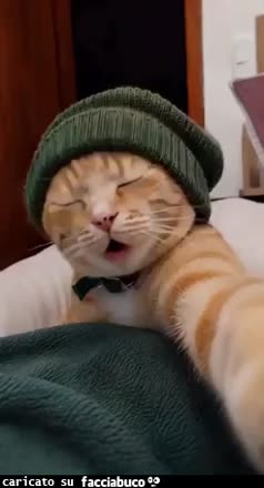 Gif Animata