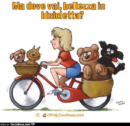 gif animata