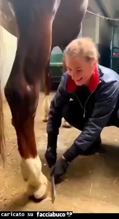 Gif Animata