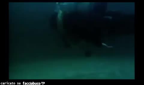 Gif Animata