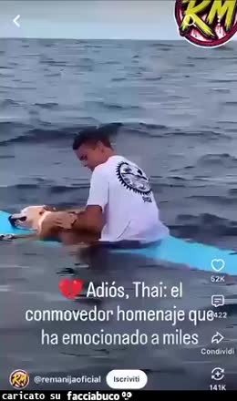 Gif Animata