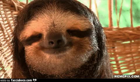 gif animata