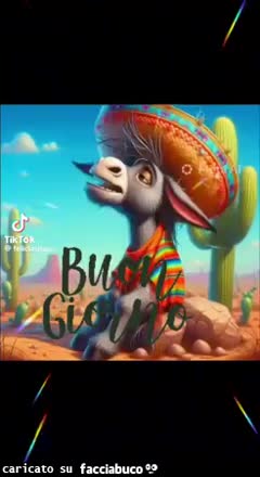 Gif Animata