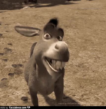 gif animata