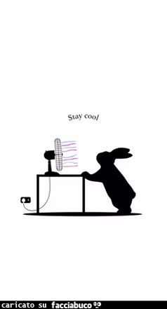 gif animata