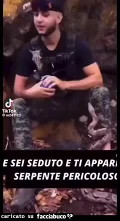 Gif Animata
