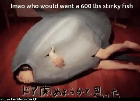 gif animata