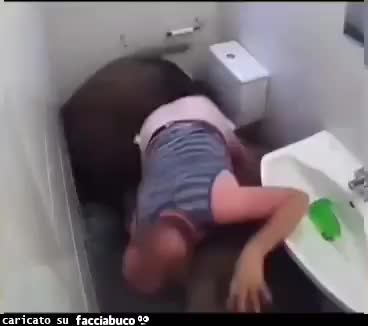 Gif Animata
