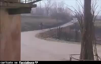 gif animata
