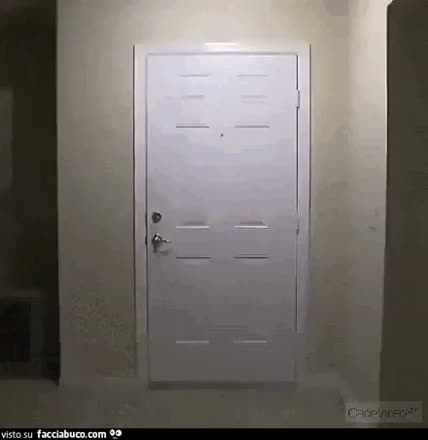 gif animata
