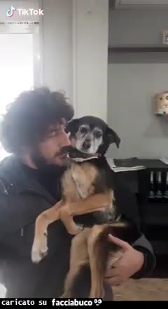 Gif Animata