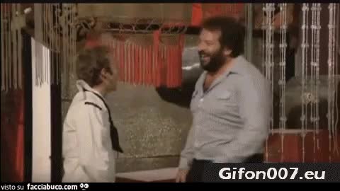 gif animata