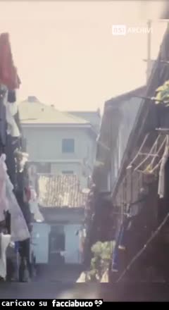 Gif Animata