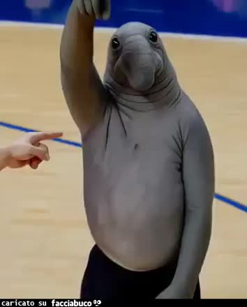 gif animata