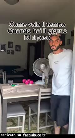 Gif Animata