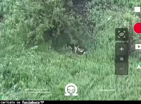 Gif Animata