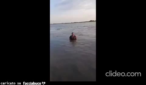 Gif Animata