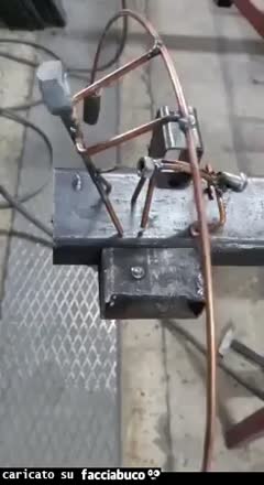 Gif Animata