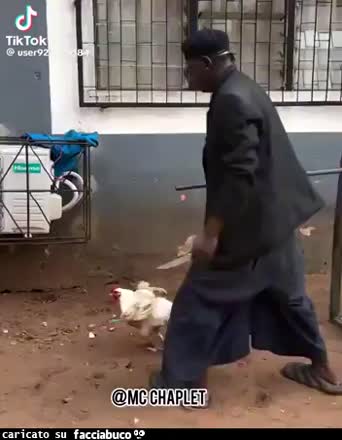 Gif Animata
